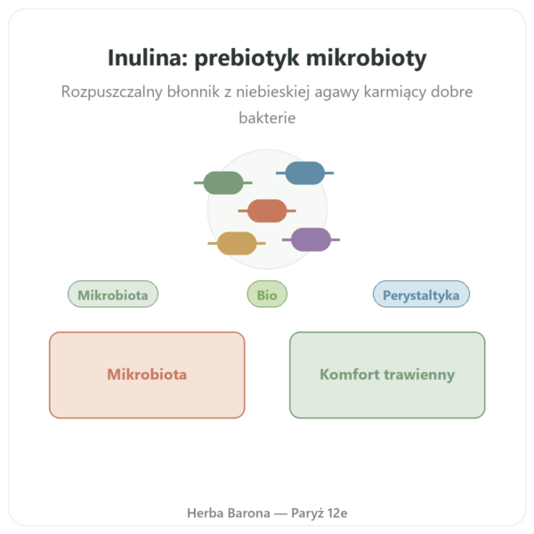 Inulina Czysty Proszek bio Now Foods 227 g – Prebiotyk prezentacja Paris Herba Barona