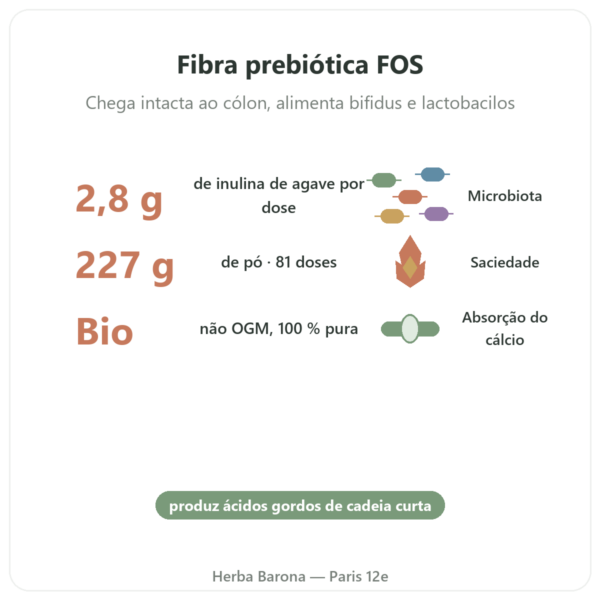 Inulina Pura em Pó Bio – Now Foods – 227 g - Prebiótico benefícios e dados principais Paris Herba Barona