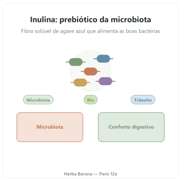 Inulina Pura em Pó Bio – Now Foods – 227 g - Prebiótico apresentação Paris Herba Barona