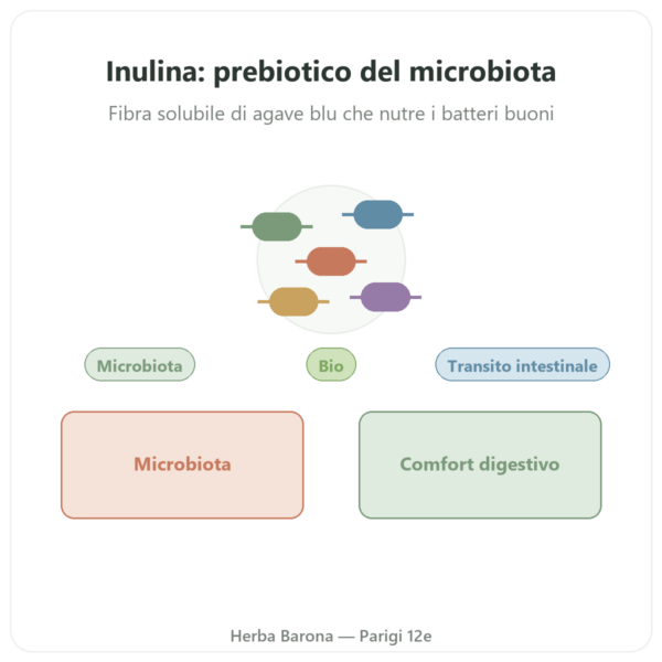 Inulina Pura in Polvere Bio – NOW Foods – 227 g – Prebiotico presentazione Paris Herba Barona