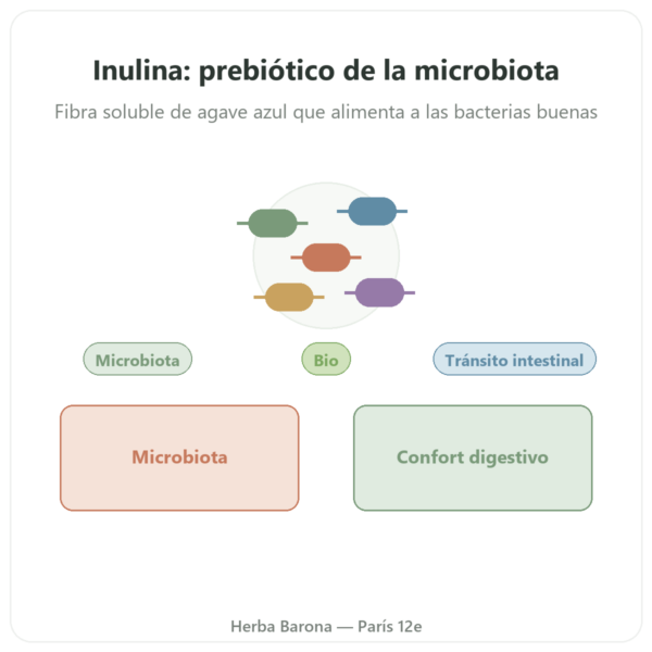 Inulina Pura en Polvo Bio – NOW Foods – 227 g – Prebiótico presentación Paris Herba Barona
