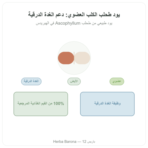 يود طحالب الكلب العضوي Dynveo – 150 ميكروغرام – 60 كبسولة عرض المنتج Paris Herba Barona
