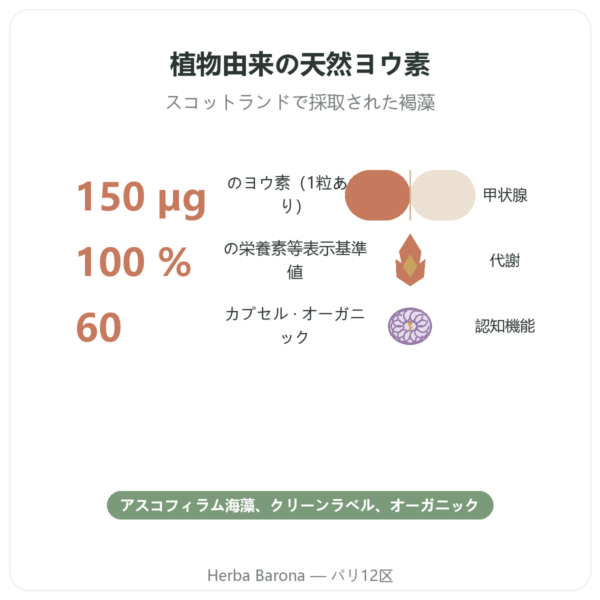 Dynveo 有機ケルプ由来ヨウ素 150µg 60カプセル benefits and key facts Paris Herba Barona