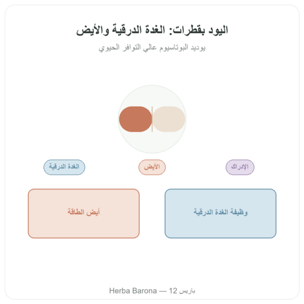 يود بالقطرات – Dr Jacob's عرض المنتج Paris Herba Barona