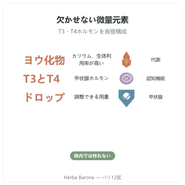 ヨウ素 ドロップ – Dr Jacob's benefits and key facts Paris Herba Barona