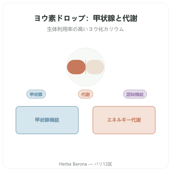 ヨウ素 ドロップ – Dr Jacob's presentation Paris Herba Barona