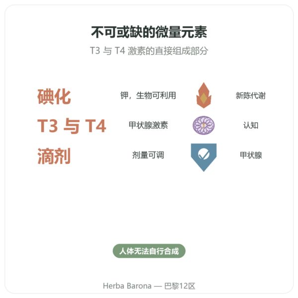 Dr Jacob's 碘滴剂 功效与数据 Paris Herba Barona