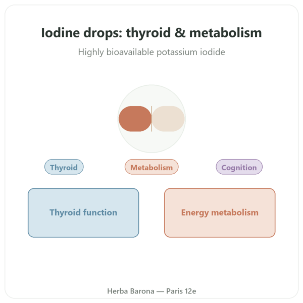 Iodine Drops – Dr Jacob's presentation Paris Herba Barona