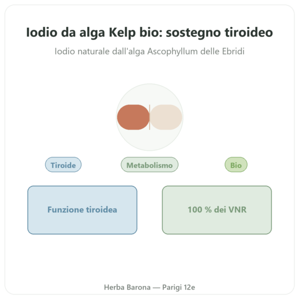 Iodio da Alga Kelp bio Dynveo – 150µg – 60 capsule presentazione Paris Herba Barona