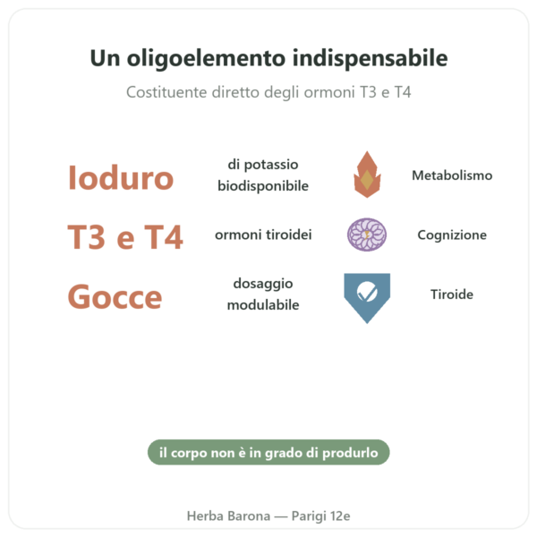 Iodio Gocce – Dr Jacob's benefici e dati chiave Paris Herba Barona