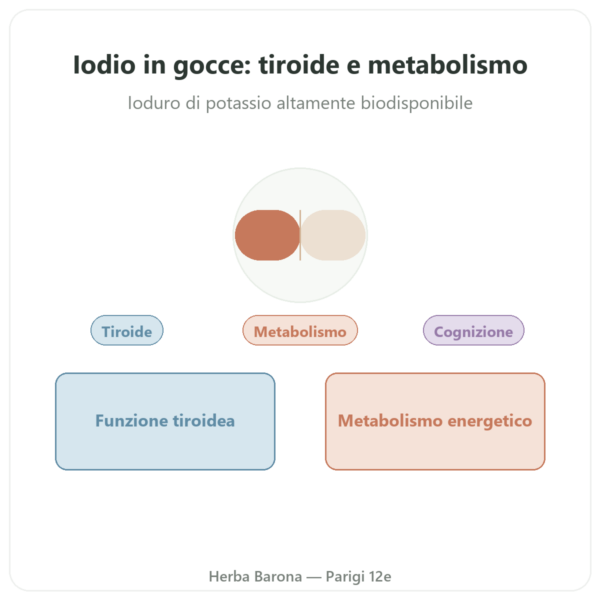 Iodio Gocce – Dr Jacob's presentazione Paris Herba Barona