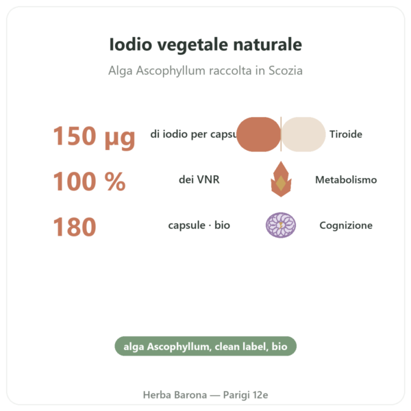 Iodio da alga Kelp BIO – Dynveo – 150µg – 180 capsule benefici e dati chiave Paris Herba Barona