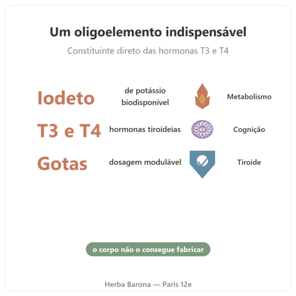 Iodo Gotas – Dr Jacob's benefícios e dados principais Paris Herba Barona