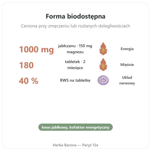 Jabłczan Magnezu 1000 mg – Now Foods – 180 tabletek korzyści i najważniejsze fakty Paris Herba Barona
