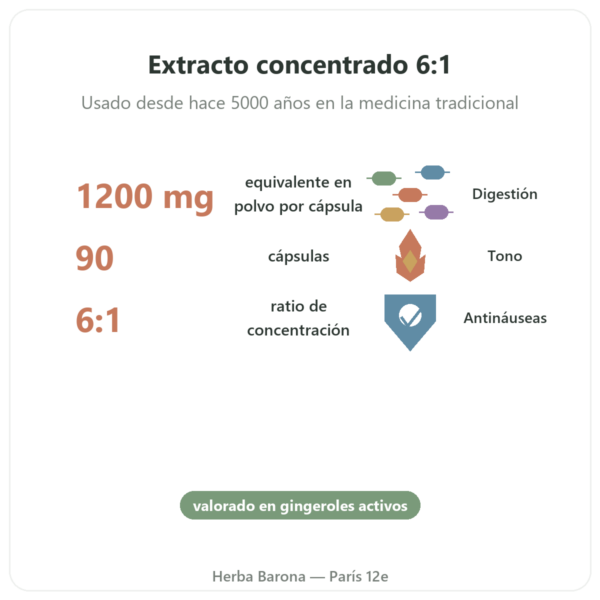 Jengibre 1200 – Be-Life – 90 Cápsulas beneficios y datos clave Paris Herba Barona