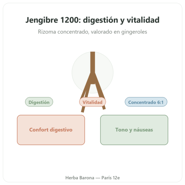 Jengibre 1200 – Be-Life – 90 Cápsulas presentación Paris Herba Barona
