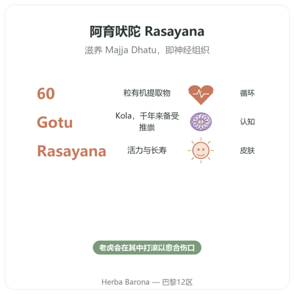 有机积雪草(Gotu Kola)– Ayur-vana – 60 粒胶囊 功效与数据 Paris Herba Barona