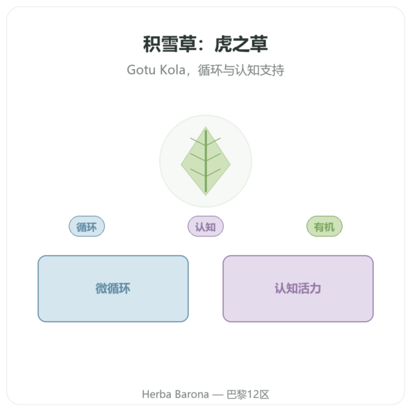 有机积雪草(Gotu Kola)– Ayur-vana – 60 粒胶囊 产品展示 Paris Herba Barona