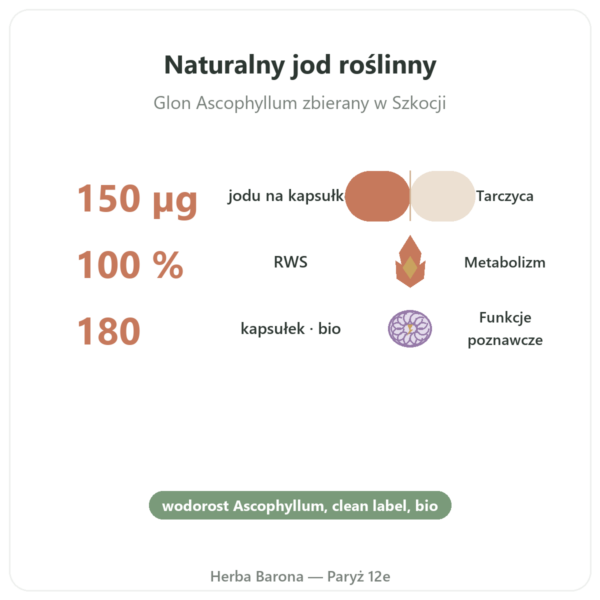 Jod z alg Kelp bio Dynveo – 150 µg – 180 kapsułek korzyści i najważniejsze fakty Paris Herba Barona