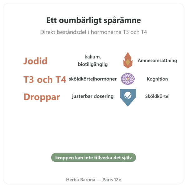 Jod Droppar – Dr Jacob's fördelar och nyckelfakta Paris Herba Barona
