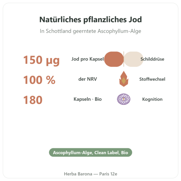 Jod aus Bio-Kelp-Alge – Dynveo – 150 µg – 180 Kapseln Vorteile und Fakten Paris Herba Barona