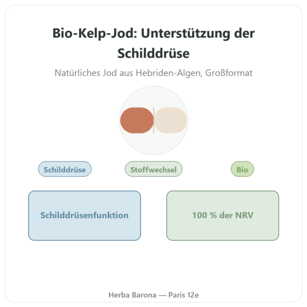 Jod aus Bio-Kelp-Alge – Dynveo – 150 µg – 180 Kapseln Vorstellung Paris Herba Barona