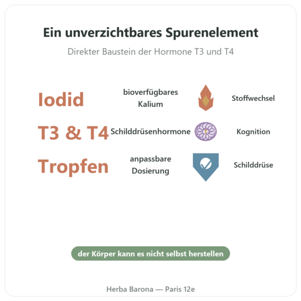 Jod Tropfen – Dr. Jacob's Vorteile und Fakten Paris Herba Barona