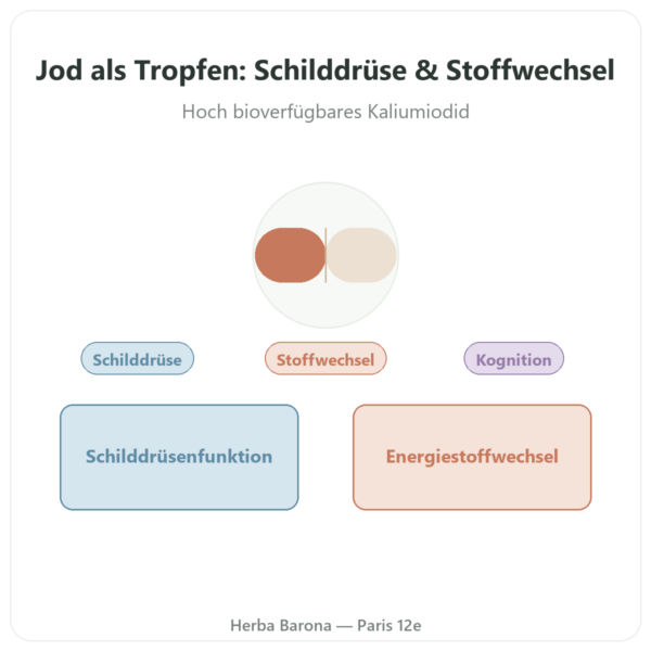 Jod Tropfen – Dr. Jacob's Vorstellung Paris Herba Barona
