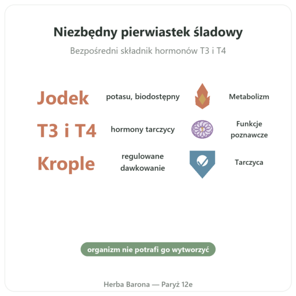 Jod w kroplach – Dr Jacob's korzyści i najważniejsze fakty Paris Herba Barona