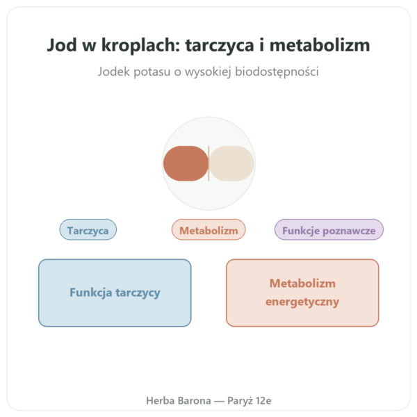 Jod w kroplach – Dr Jacob's prezentacja Paris Herba Barona