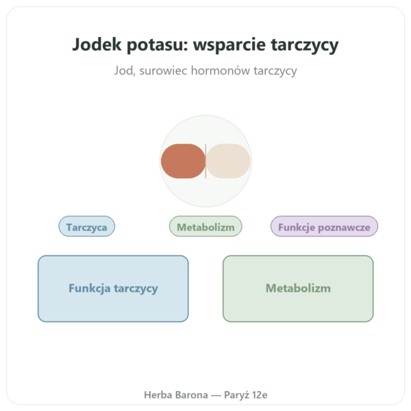 Jodek potasu – Dynveo – 60 kapsułek prezentacja Paris Herba Barona