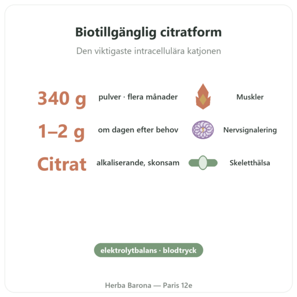 Kaliumcitrat Pulver – Now Foods – 340 g fördelar och nyckelfakta Paris Herba Barona