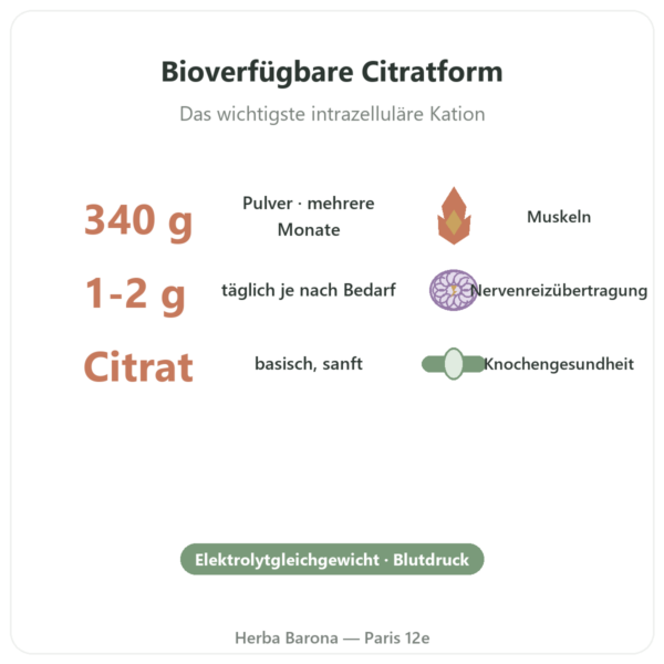 Kaliumcitrat Pulver – Now Foods – 340 g Vorteile und Fakten Paris Herba Barona
