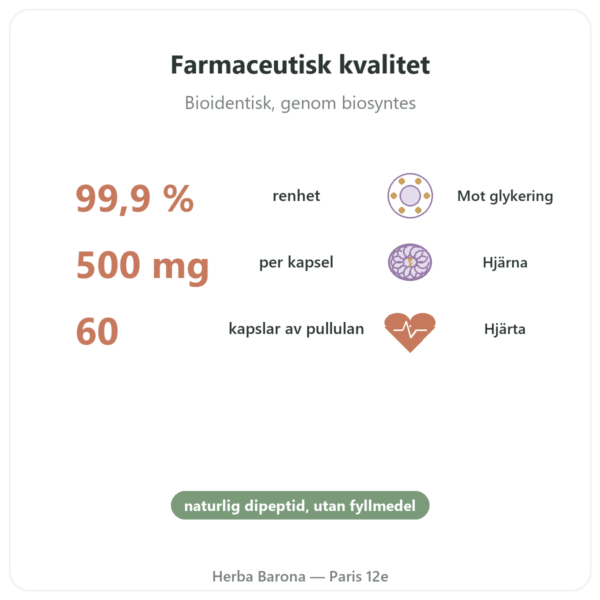 Karnosin 500 mg 60 kapslar DYNVEO fördelar och nyckelfakta Paris Herba Barona