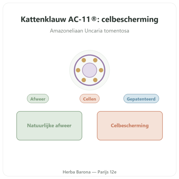 Kattenklauw AC-11® – Dynveo – 350 mg – 60 capsules presentatie Paris Herba Barona