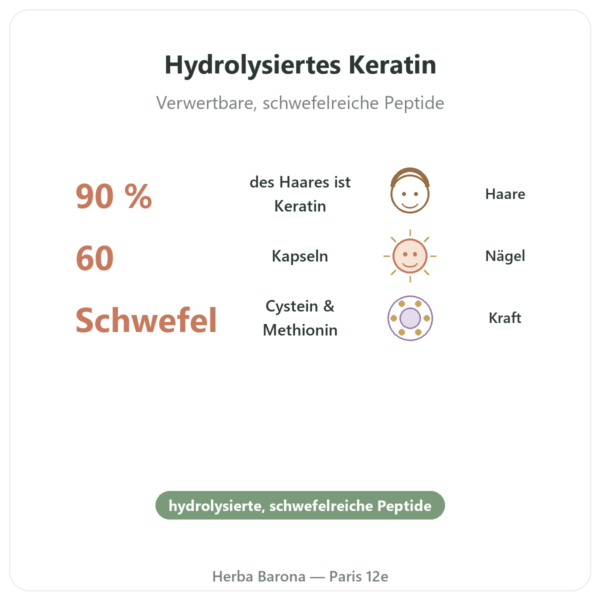 Keratin Cynatine® HNS – Dynveo – 500 mg – 60 Kapseln Vorteile und Fakten Paris Herba Barona