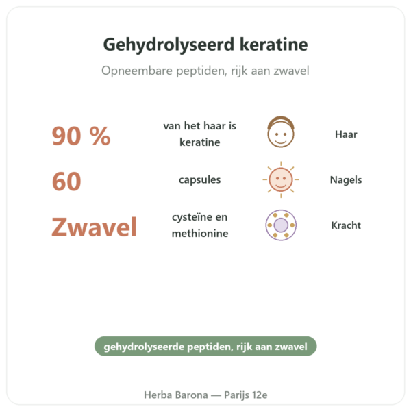 Keratine Dynveo 60 capsules voordelen en kerngegevens Paris Herba Barona