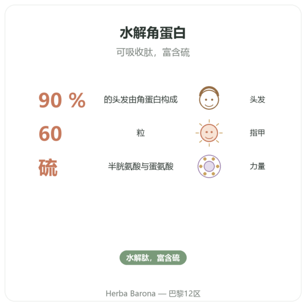 角蛋白 Dynveo 60 粒胶囊 功效与数据 Paris Herba Barona