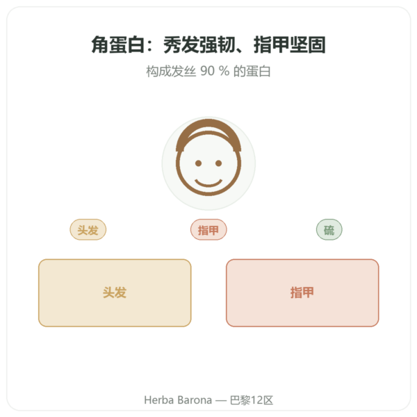 角蛋白 Dynveo 60 粒胶囊 产品展示 Paris Herba Barona