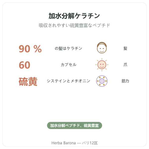 Dynveo ケラチン 60カプセル benefits and key facts Paris Herba Barona