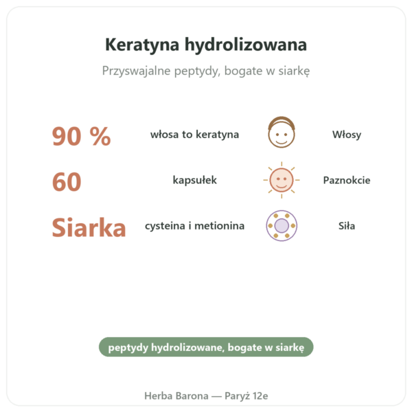 Keratyna Dynveo 60 kaps. korzyści i najważniejsze fakty Paris Herba Barona