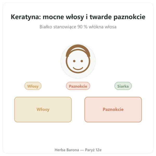 Keratyna Dynveo 60 kaps. prezentacja Paris Herba Barona