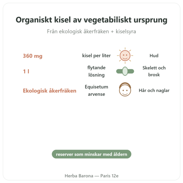 Kisel G7 Siliplant 1L – Silicium Espana fördelar och nyckelfakta Paris Herba Barona