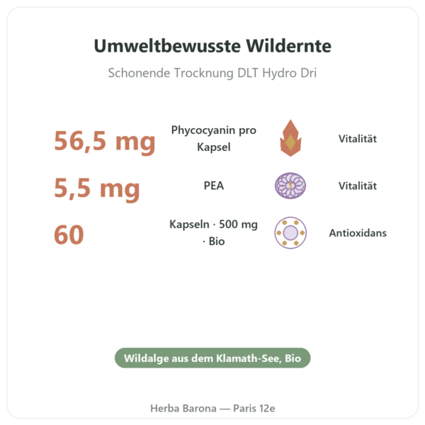 Klamath-Alge Bio AFA DLT Hydro Dri® – Dynveo – 500 mg – 60 Kapseln Vorteile und Fakten Paris Herba Barona