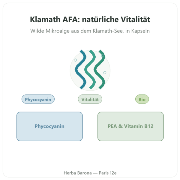 Klamath-Alge Bio AFA DLT Hydro Dri® – Dynveo – 500 mg – 60 Kapseln Vorstellung Paris Herba Barona