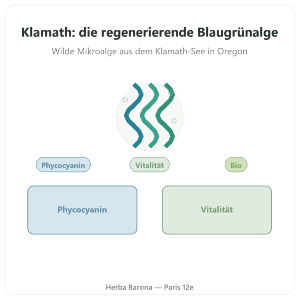 Klamath-Alge Bio Pulver DLT Hydro Dri® 150 g – Dynveo Vorstellung Paris Herba Barona