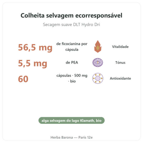 Klamath bio (AFA) – Dynveo – DLT Hydro Dri® – 500mg / 60 cápsulas benefícios e dados principais Paris Herba Barona
