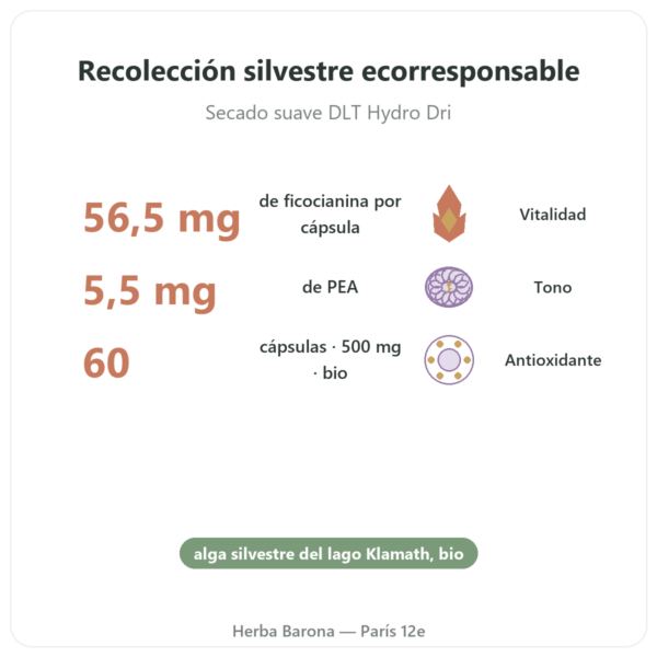 Klamath BIO (AFA) – Dynveo – DLT Hydro Dri® – 500mg / 60 cápsulas beneficios y datos clave Paris Herba Barona