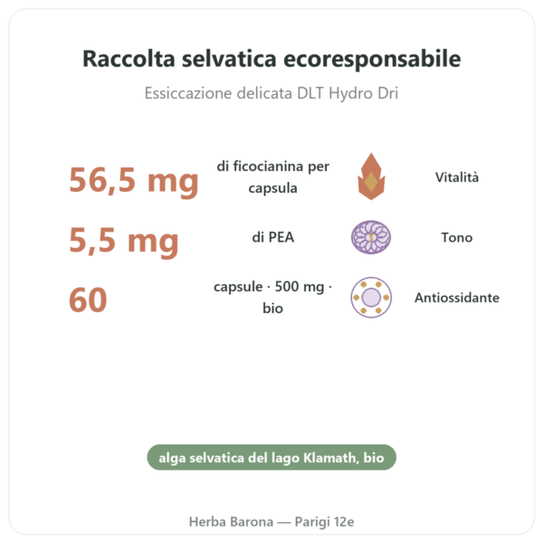 Klamath bio (AFA) – Dynveo – DLT Hydro Dri® – 500mg / 60 capsule benefici e dati chiave Paris Herba Barona