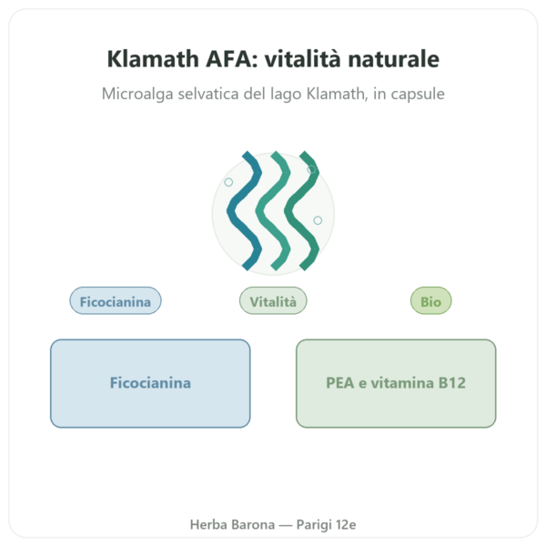Klamath bio (AFA) – Dynveo – DLT Hydro Dri® – 500mg / 60 capsule presentazione Paris Herba Barona